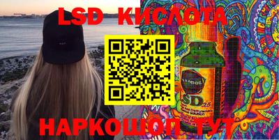 стаф Кулебаки
