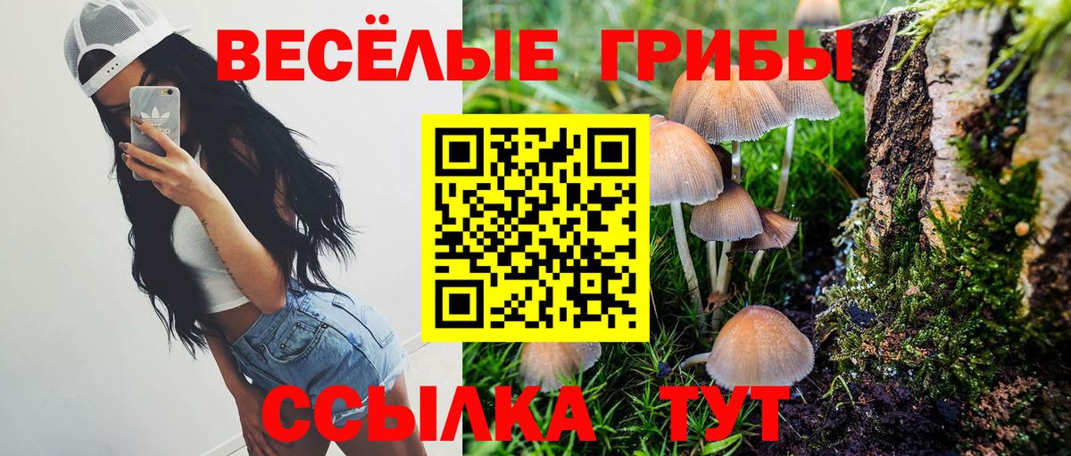 Галлюциногенные грибы MAGIC MUSHROOMS  Вход с VPN  Галлюциногенные грибы Psilocybine cubensis  Киров 